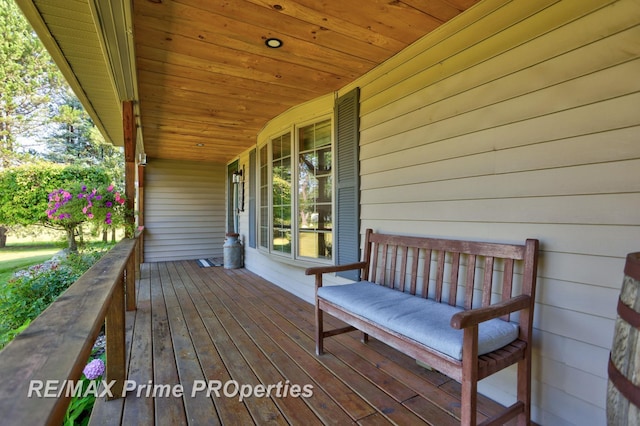 10920 Pagels Rd, Birch Run, MI 48415 - photo 43