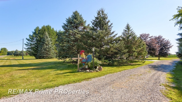 10920 Pagels Rd, Birch Run, MI 48415 - photo 52