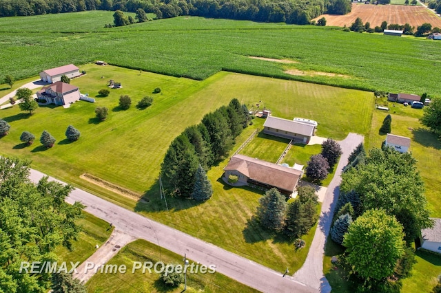 10920 Pagels Rd, Birch Run, MI 48415 - photo 61