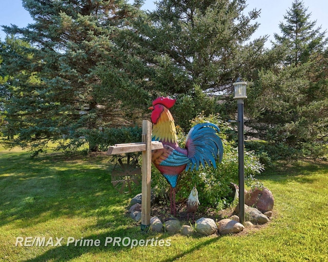 10920 Pagels Rd, Birch Run, MI 48415 - photo 51