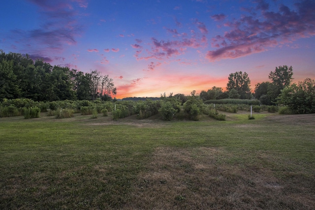 124 68th St, South Haven, MI 49090 - photo 49