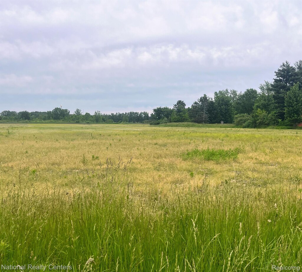 PARCELH Sharrard Road, Allenton, MI 48002 - photo 2