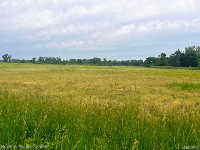 PARCELH Sharrard Road, Allenton, MI 48002 - photo 3