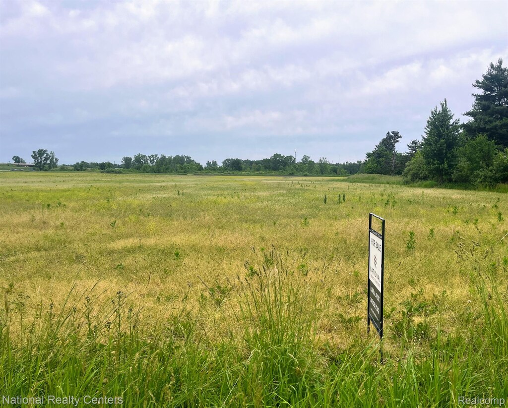 PARCELH Sharrard Road, Allenton, MI 48002 - photo 1
