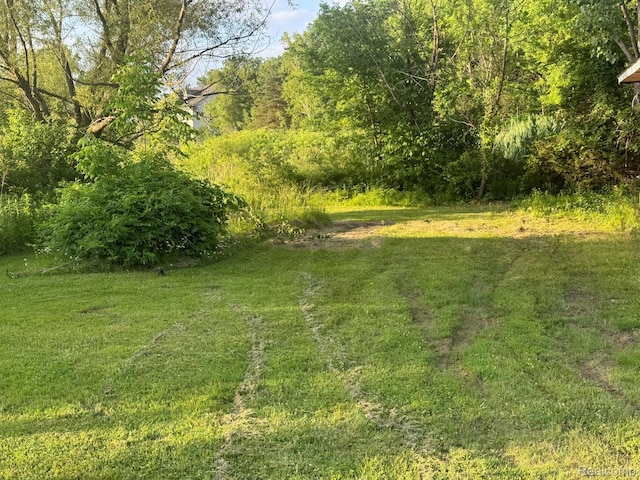 9910 Highland Rd, White Lake, MI 48386 - photo 6