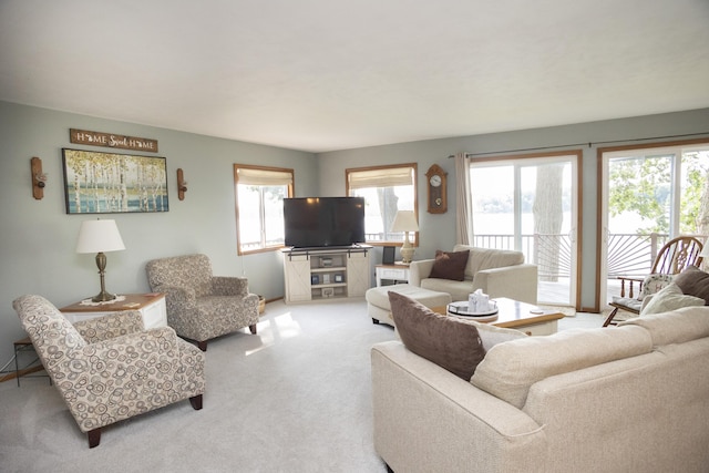 15095 Barton Lake Dr N, Vicksburg, MI 49097 - photo 9