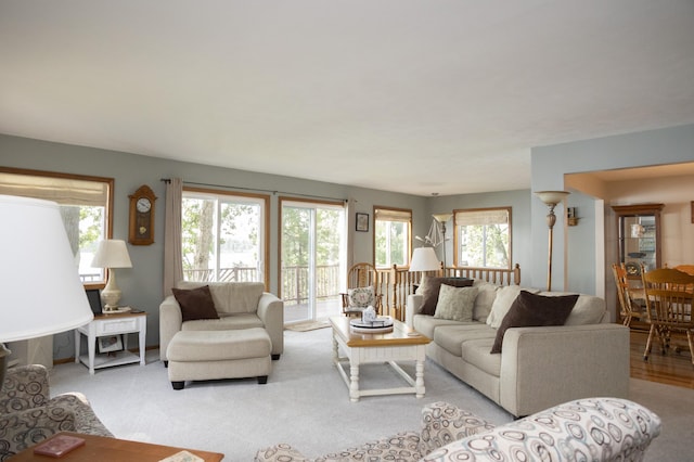 15095 Barton Lake Dr N, Vicksburg, MI 49097 - photo 10