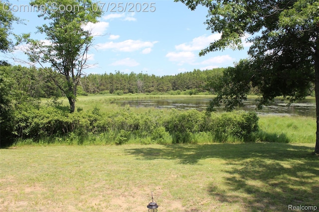 3403 Eggleston Rd, Mio, MI 48647 - photo 9