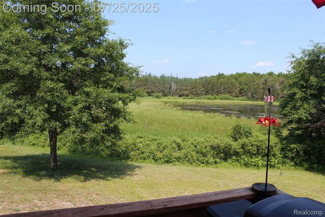 3403 Eggleston Rd, Mio, MI 48647 - photo 57