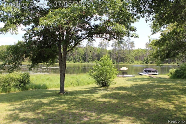 3403 Eggleston Rd, Mio, MI 48647 - photo 8