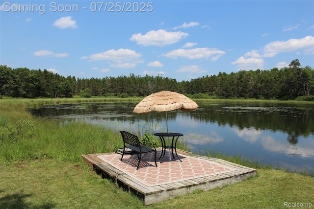 3403 Eggleston Rd, Mio, MI 48647 - photo 12