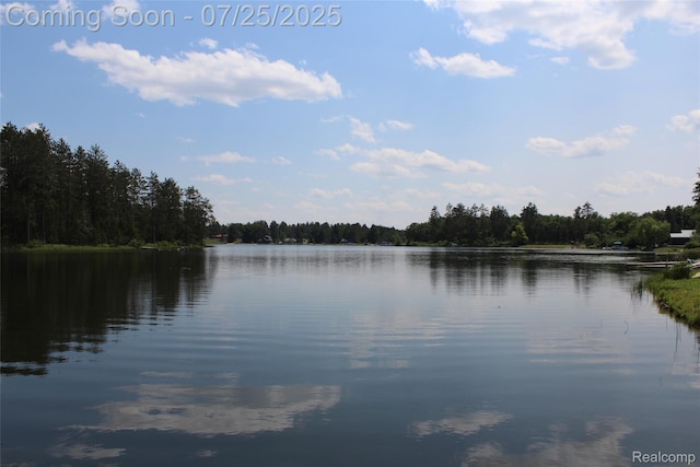 3403 Eggleston Rd, Mio, MI 48647 - photo 15