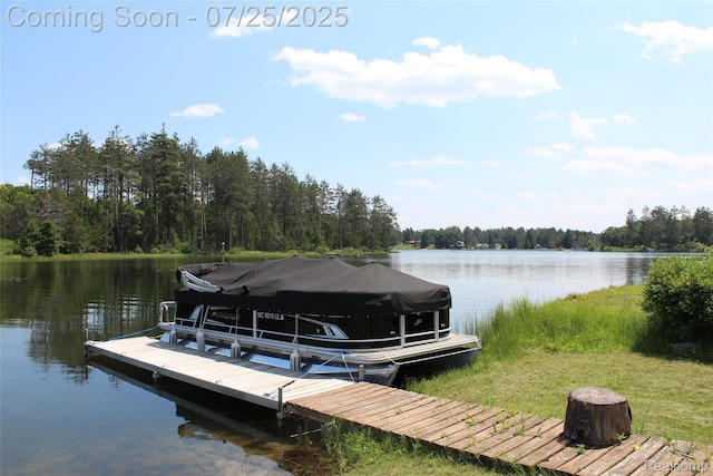 3403 Eggleston Rd, Mio, MI 48647 - photo 13