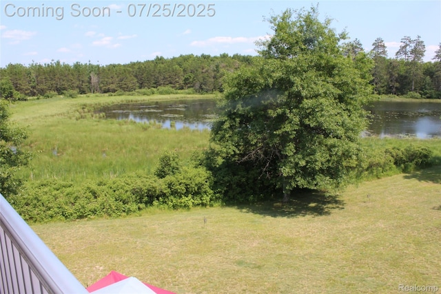 3403 Eggleston Rd, Mio, MI 48647 - photo 32