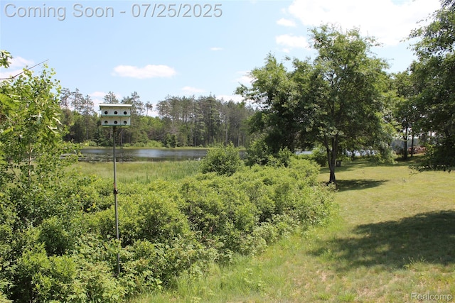 3403 Eggleston Rd, Mio, MI 48647 - photo 6
