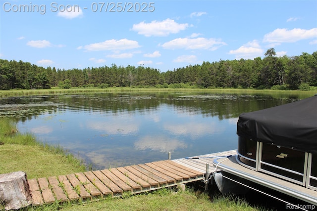 3403 Eggleston Rd, Mio, MI 48647 - photo 14