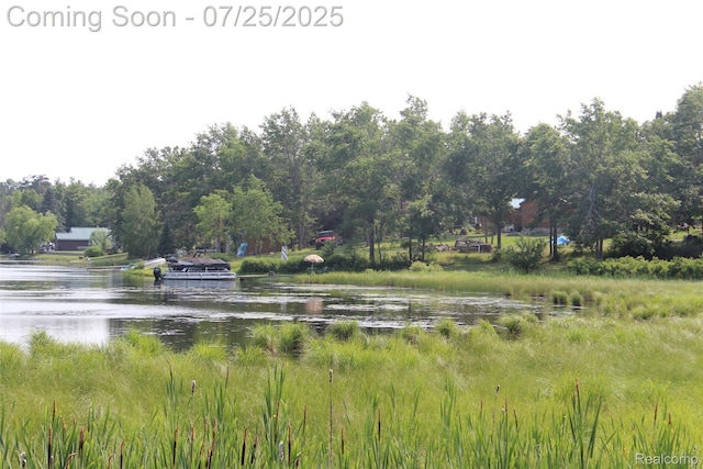 3403 Eggleston Rd, Mio, MI 48647 - photo 62