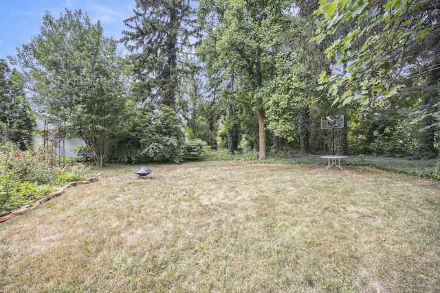 3559 Lincoln Rd, Hamilton, MI 49419 - photo 39