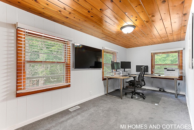 4080 64th, Holland, MI 49423 - photo 26