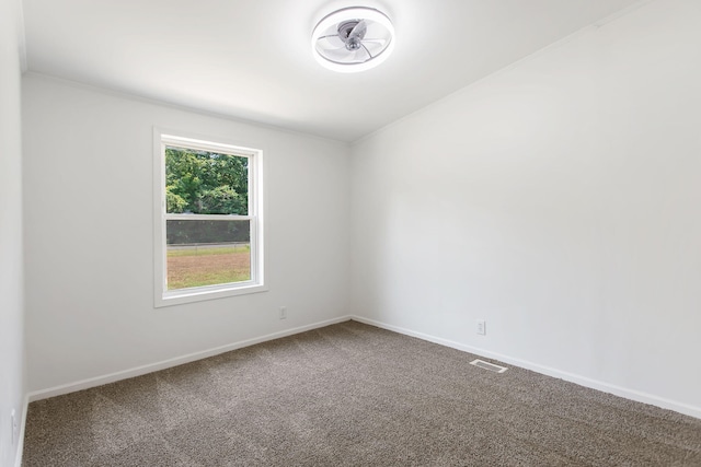 54351 67 1/2 St, Hartford, MI 49057 - photo 29