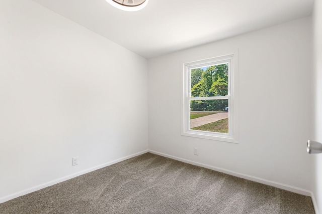 54351 67 1/2 St, Hartford, MI 49057 - photo 32