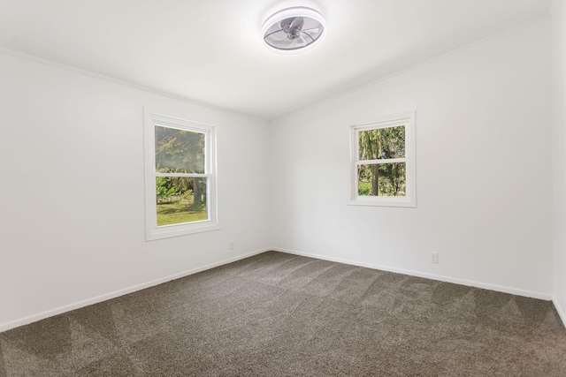 54351 67 1/2 St, Hartford, MI 49057 - photo 34