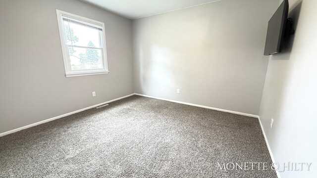 20878 Emerald Ln, Big Rapids, MI 49307 - photo 13