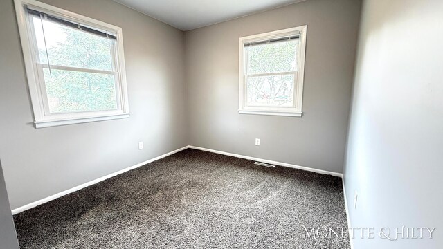 20878 Emerald Ln, Big Rapids, MI 49307 - photo 18