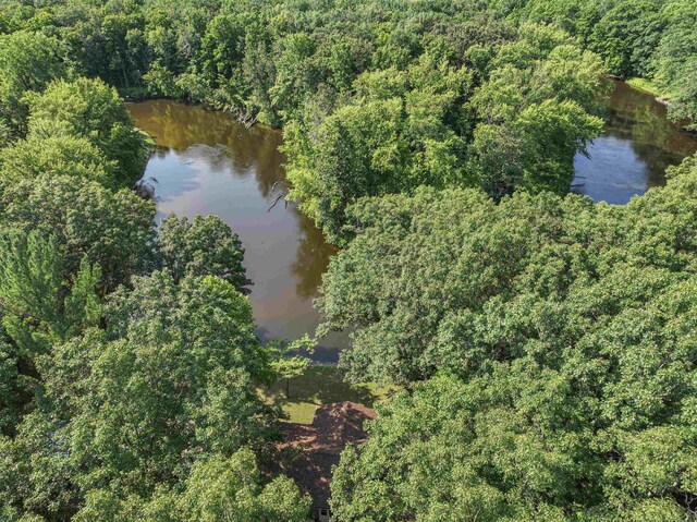 9660 Birch Ln, Evart, MI 49631 - photo 39