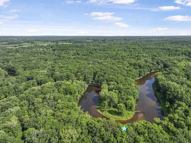 9660 Birch Ln, Evart, MI 49631 - photo 6