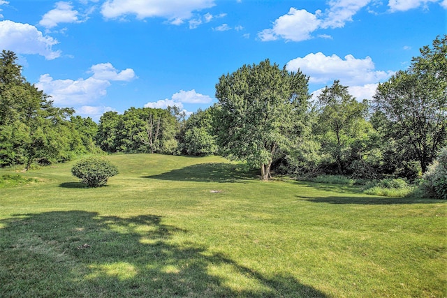 5520 N 31st St, Richland, MI 49083 - photo 35