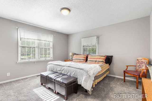 1107 S Griffin St, Grand Haven, MI 49417 - photo 28