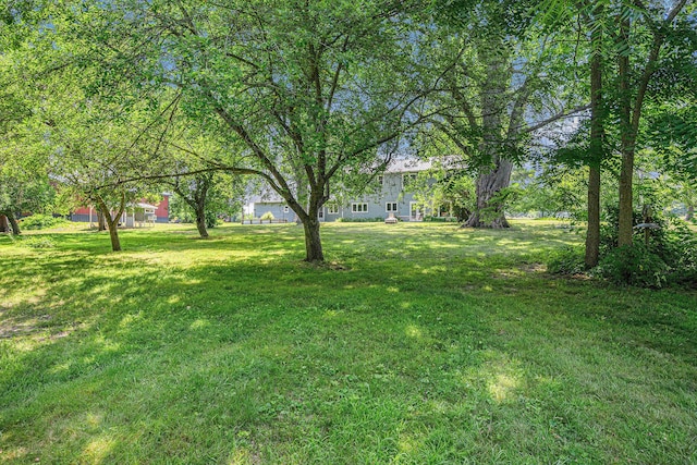 1275 22nd St, Allegan, MI 49010 - photo 29