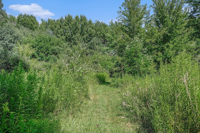 1275 22nd St, Allegan, MI 49010 - photo 31