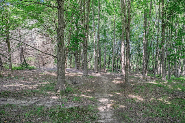 1275 22nd St, Allegan, MI 49010 - photo 32