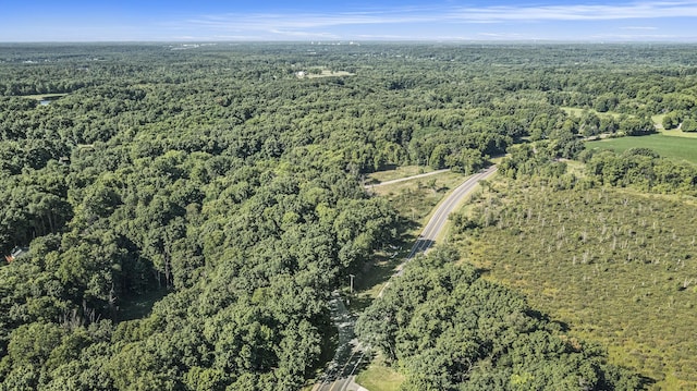 22975 Pine Lake Rd, Battle Creek, MI 49014 - photo 19