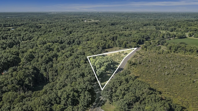 22975 Pine Lake Rd, Battle Creek, MI 49014 - photo 18