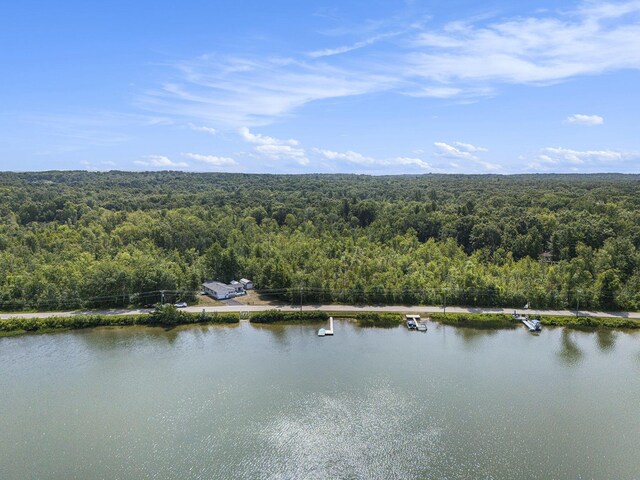 7063 E Sugar Grove Rd, Fountain, MI 49410 - photo 25
