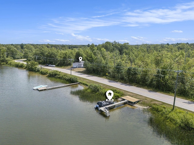 7063 E Sugar Grove Rd, Fountain, MI 49410 - photo 4