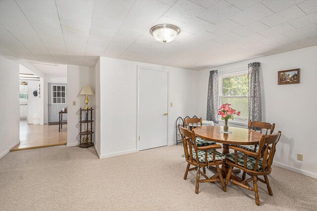 7063 E Sugar Grove Rd, Fountain, MI 49410 - photo 15