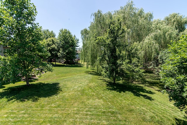 1241 Bicentennial Pkwy, Ann Arbor, MI 48108 - photo 7