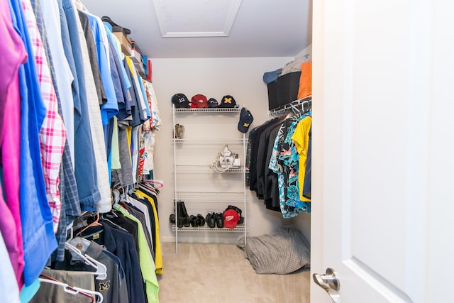 1241 Bicentennial Pkwy, Ann Arbor, MI 48108 - photo 40
