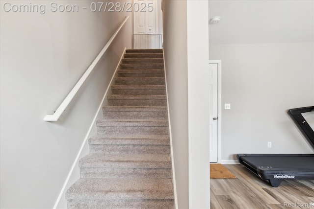 507 Anne Ave, Brighton, MI 48116 - photo 7