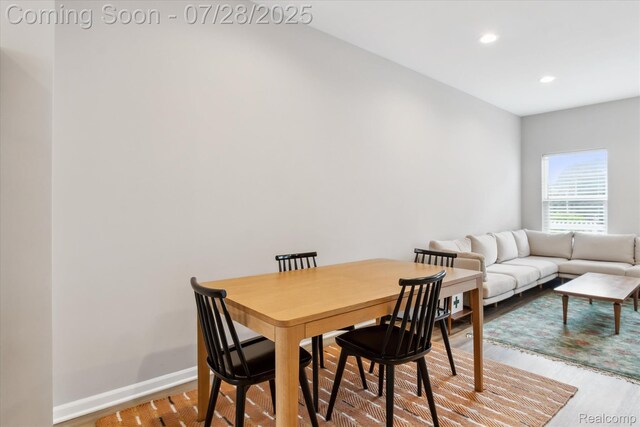 507 Anne Ave, Brighton, MI 48116 - photo 13