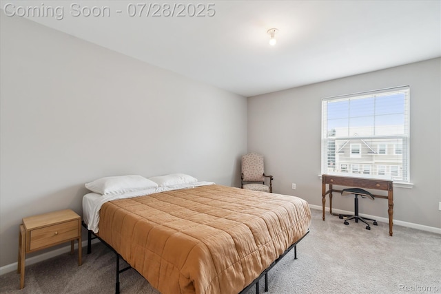 507 Anne Ave, Brighton, MI 48116 - photo 21