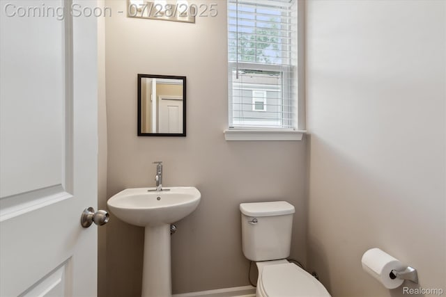 507 Anne Ave, Brighton, MI 48116 - photo 23