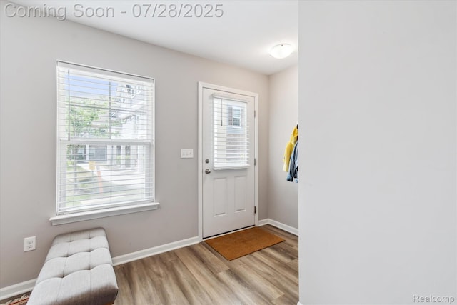 507 Anne Ave, Brighton, MI 48116 - photo 32