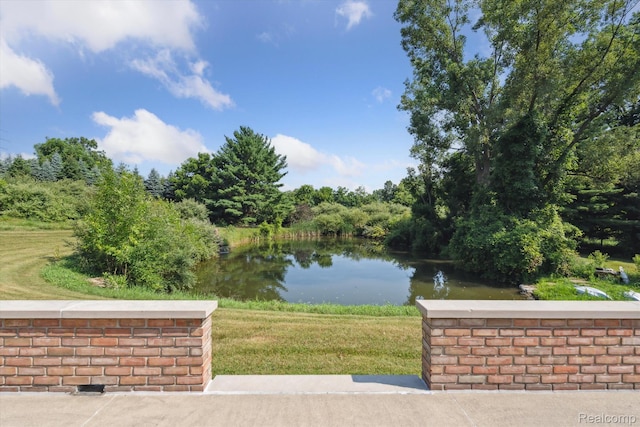 3140 Pingree Rd, Howell, MI 48843 - photo 4