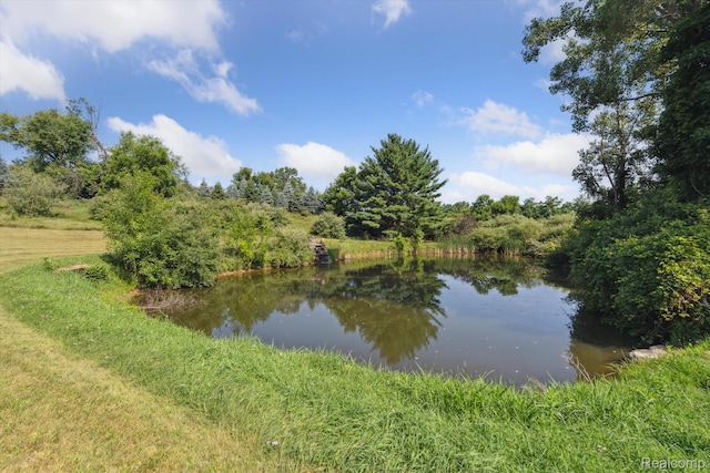 3140 Pingree Rd, Howell, MI 48843 - photo 6
