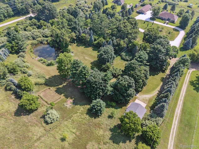 3140 Pingree Rd, Howell, MI 48843 - photo 49